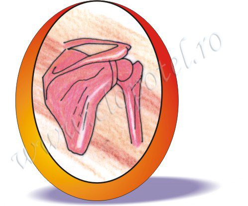 Omoplate